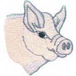 Pig-Hwg116