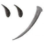 Oriental,Karate-Krteb