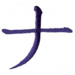 Oriental,Karate-Krtee