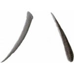 Oriental,Karate-Krtej