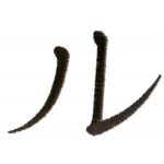 Oriental,Karate-Krtey