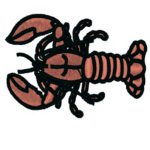 Lobster