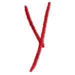 Oriental,Modern-Mrnyy