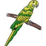 Parakeet