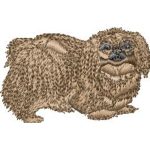 Pekinese