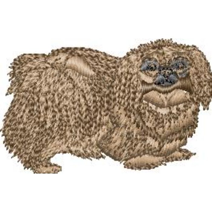 Pekinese - Image 1
