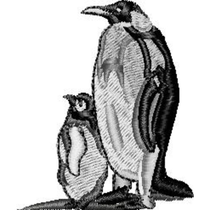 Penguins - Image 1