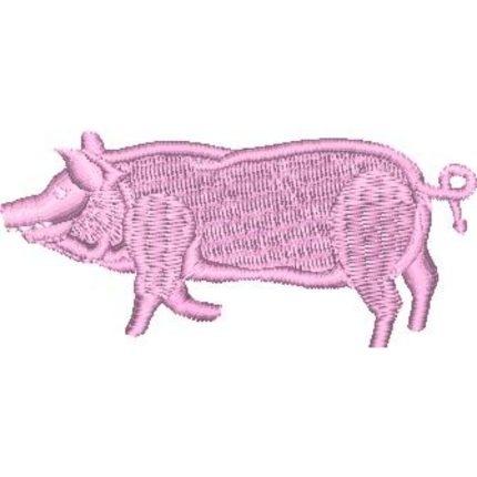 Pig