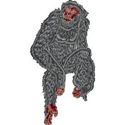 Primate