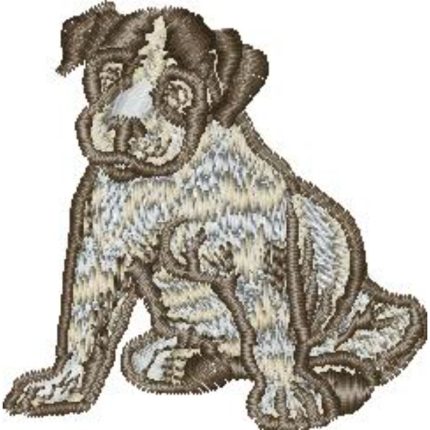 Puppy