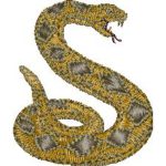Rattler Snake