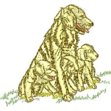 Retrievers