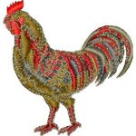 Rooster