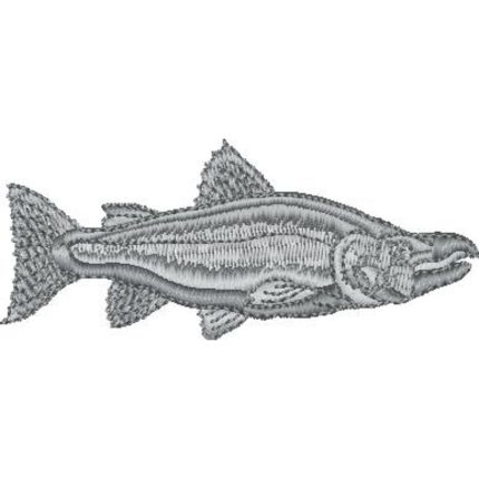 Salmon