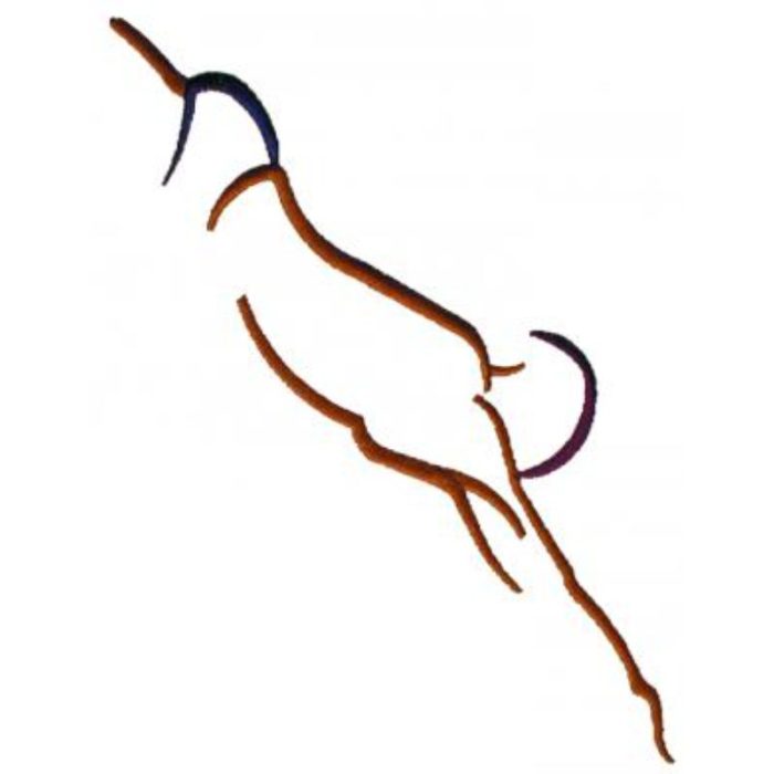 Sports-Spg593 - Image 1