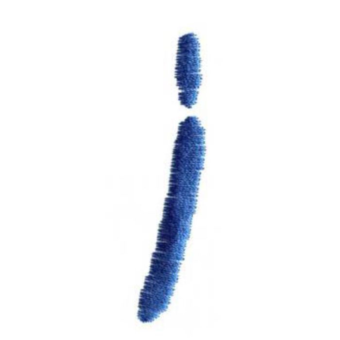 Stick,Squiggly-Squigii - Image 1