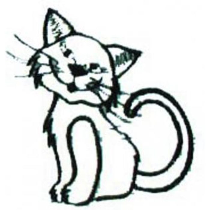 Times-Time22 - Image 1