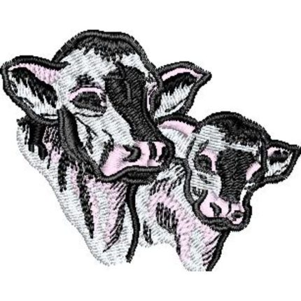 Two Calves